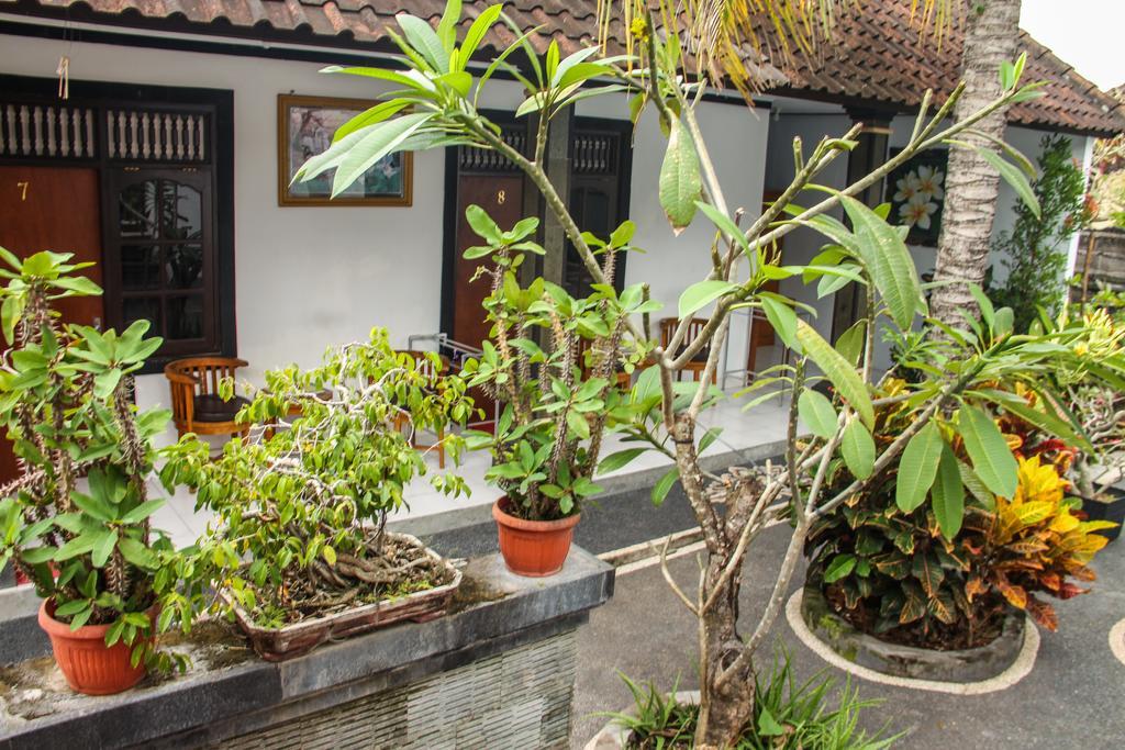 Nyoman Guesthouse Canggu Ngoại thất bức ảnh